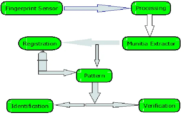 Figure 1: Diagram of Fingerprint Biometric Authentication System. 