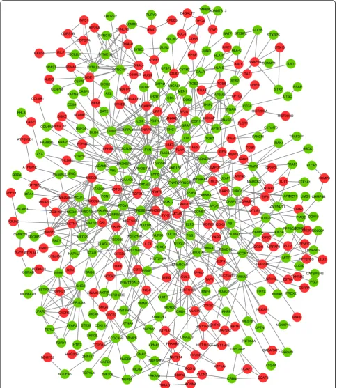 Fig. 2 The protein-protein interaction (PPI) network of differentially expressed genes (DEGs)