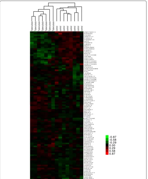 Fig. 3 Clustering analysis of the important genes. The above dendrogram shows clustering of the samples