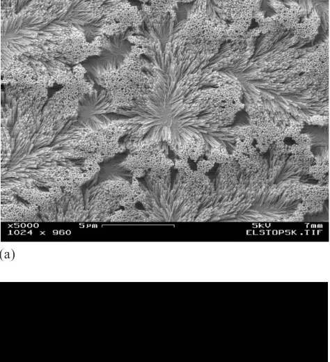 Figure 1. Such deformation or bunching of vertically aligned