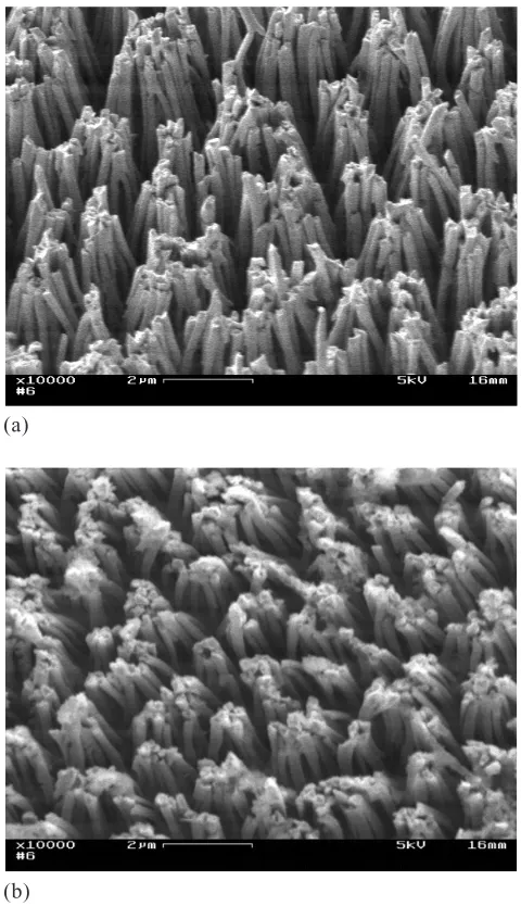 Figure 2 Gold nanopillar (aspect ratio = 30) array structures developed usingelectrodeposition: immediately after deposition (a) and after the water droplettest and several electrochemical test runs (b).