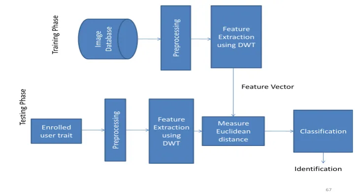Figure 1: The Process of a Biometric System. 