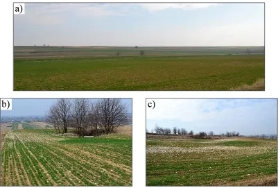 Figure 1. a) Monotonous landscape of Wola Idzikowska village; b) Planting at the abandoned quarry; c) Plantings on scarp and follow lands (foreground degraded arable land)