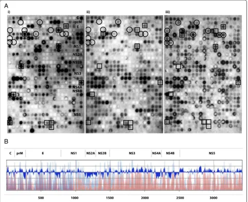 Figure 1 SPOT array of TBEV proteome as overlapping peptides and prediction of antigenic regions