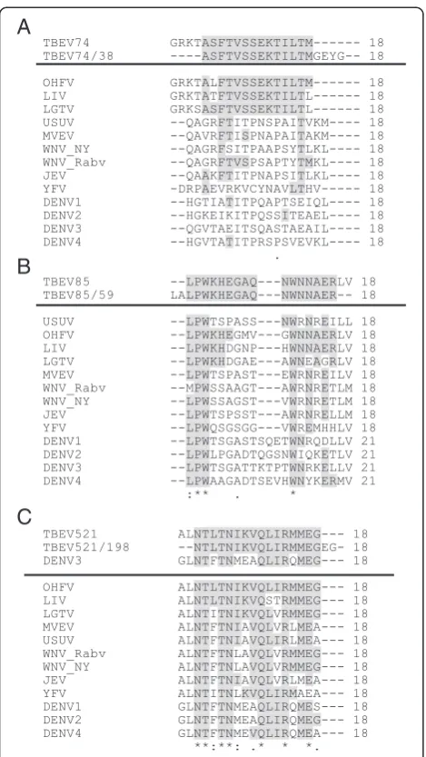 Figure 3 Clustal 2.1 multiple sequence alignment of thesynthesized heterologous peptides with A) TBEV E-74 B) TBEVE-85 C) TBEV NS5-521