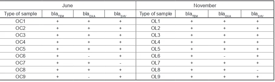 Table 4. The results of PCR analysis in WWTP in Warmia and Mazury region