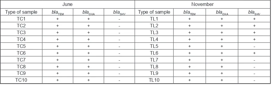Table 5. The results of PCR analysis in WWTP in Silesian region