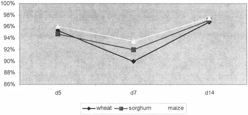 Figure 3 . Starch digestibility coefficients for broilers fed wheat, sorghum and maize 