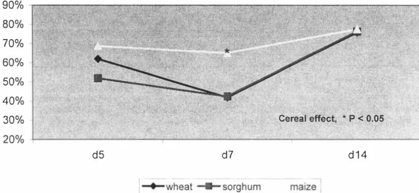 Figure 4. Fat digestibility coefficients for broilers fed wheat, sorghum and maize based 