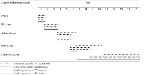 Table 3. Duration of decomposition stages in four different pig carcasses in Manado