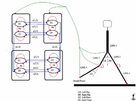 Fig. 2.  Interconnections of oscillators and feedback connec-tions.