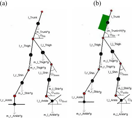 Fig. 3.  Sagittal view of Bipedal Model (a) Without Load (b) With Load  