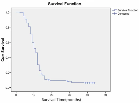 Figure 1. Kaplan-Meier curves of glioma overall. The graphs present 3 years of follow-up