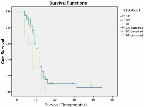 Table 4. Multivariate analysis between gene polymorphism and the overall survival and free survival