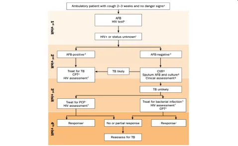 Figure 1 WHO 2007 algorithm for the diagnosis of TB in ambulatory HIV-positive patients