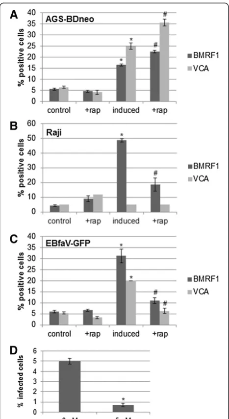 Figure 5 Rapamycin treatment does not alter EBV-positive cellviability, but does decrease cell proliferation