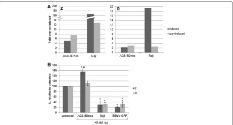 Figure 7 Z and R transcript and protein levels are altered by rapamycin treatment.R-specific primers, in triplicate
