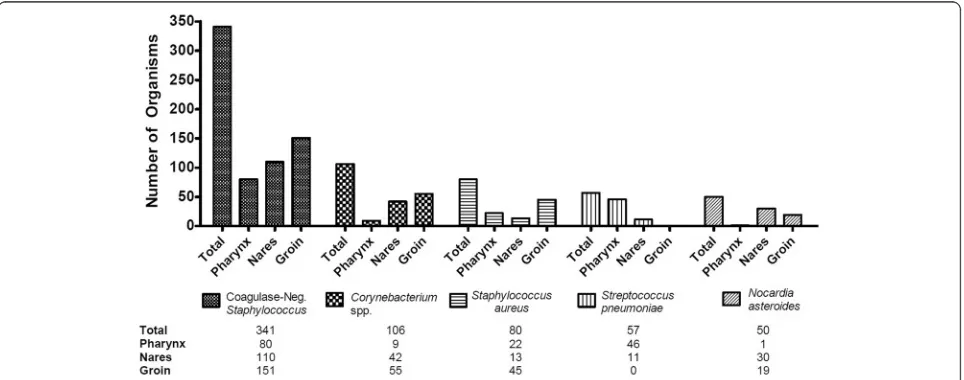 Fig. 1 Five most commonly detected gram-positive bacteria (from healthy service members) by PCR/ESI-TOF-MS