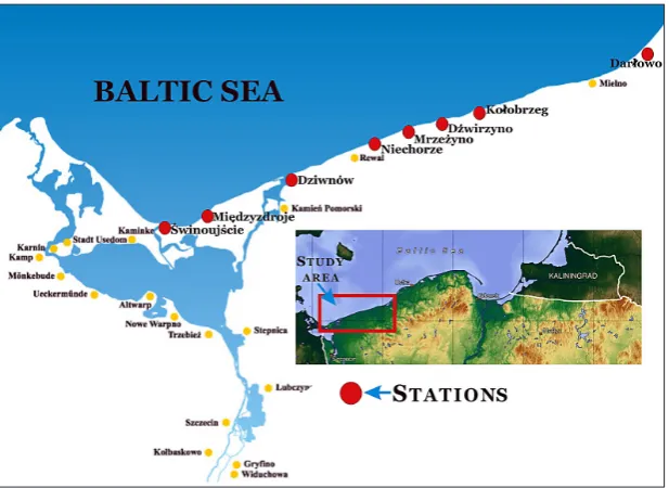Fig. 1. Sampling sites in the Pomeranian Bay