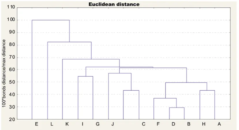 Fig. 3. Euclidean distance diagram based on relative dependencies of 23 measurable characters among different N