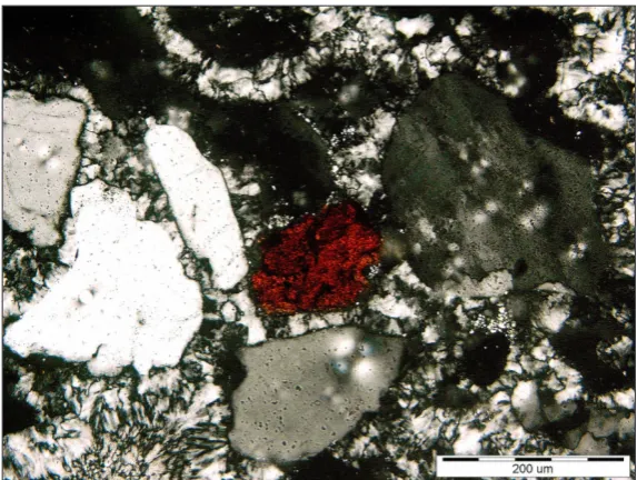 Fig. 2 Opaque ore minerals in the decalcified opoka-rocks. Polarizing microscope 2P
