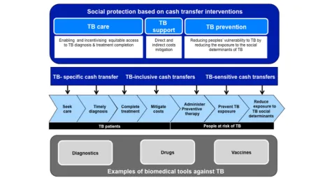 Fig. 1 The role of cash transfer interventions in TB care, support and prevention: a conceptual framework