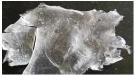 Fig. 6: Starch and sodium alginate fabric. 