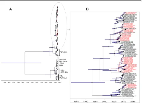 Fig. 3 Phylogenetic and temporal placement of Kilifi group A G protein sequenced viruses, for Kilifi, coastal Kenya 2007–2011