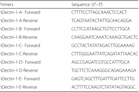 Table 1 Primer sequences for real-time PCR