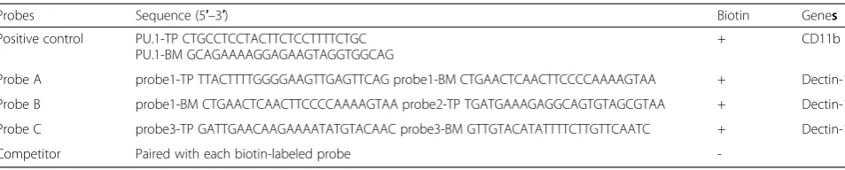 Table 3 Probe sequences for EMSA