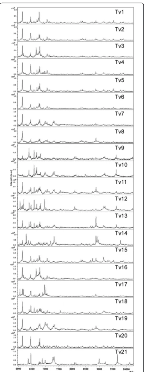 Fig. 2 Proteic profiles of the 21 T. vaginalis isolates analysed in thisstudy. Spectra obtained with the 21 T