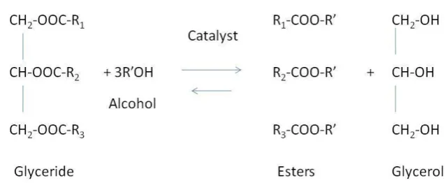 Fig. 2: Transesterification of triglycerides with alcohol in presence of catalyst, where R 