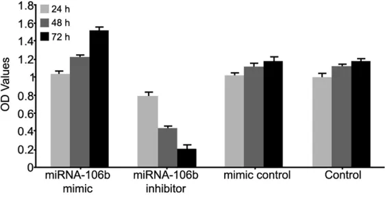 Table 2. miRNA-106b expression in transfected MCF-7 cells