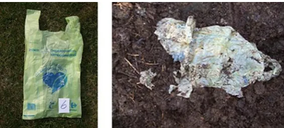 Figure 4. Initiation of the experiment in compost bins