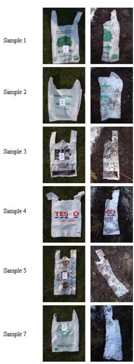 Figure 7. Samples 1-5, 7 before and after the experi-ment – the compost pile