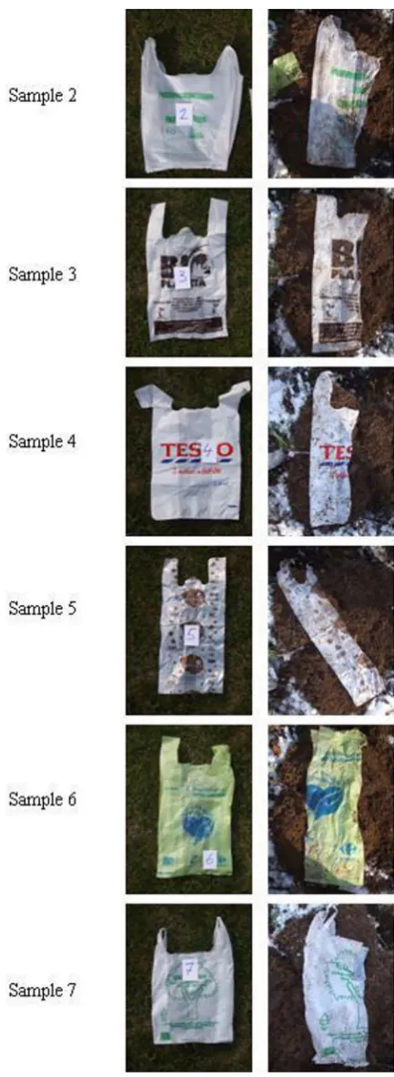 Figure 11. Sample 8 and 9 before and after the ex-periment – the orchard