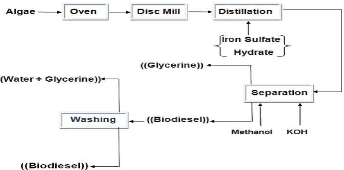 Figure 1. Flow diagram for production of biodiesel from algae