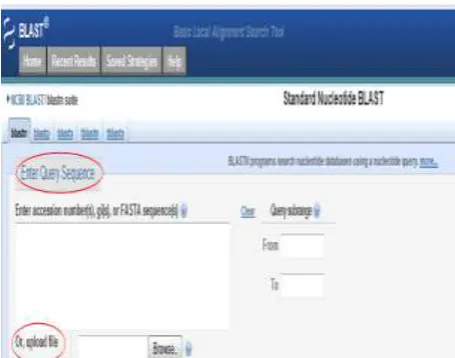 Figure 1: Enter a query sequence or upload a file  containing sequence.    