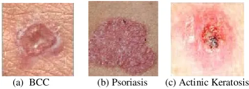 Figure 1: Different Organisms 