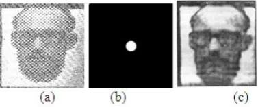 Figure 5: Comparison of DIP and HIP. 