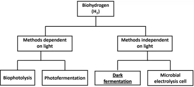 Fig. 1. Biological methods of hydrogen production [Ghimire et al. 2015]