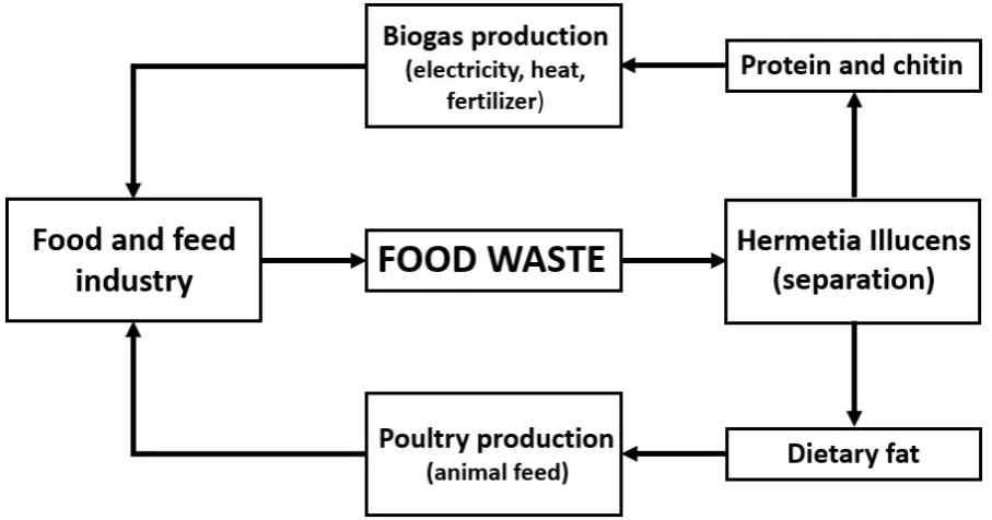 Fig. 3. Scheme of the project