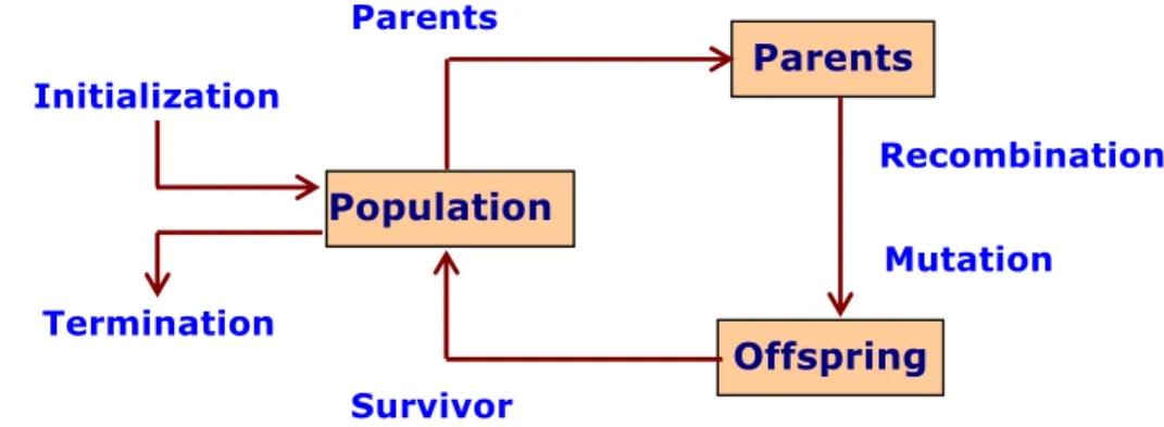 Fig. General Scheme of Evolutionary process 