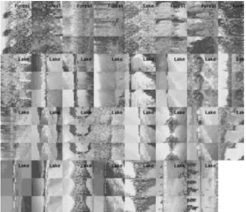 Figure 5 : Screenshot of actual output of Multiclass  Classification by SVM (Lake, Forest, Building)  