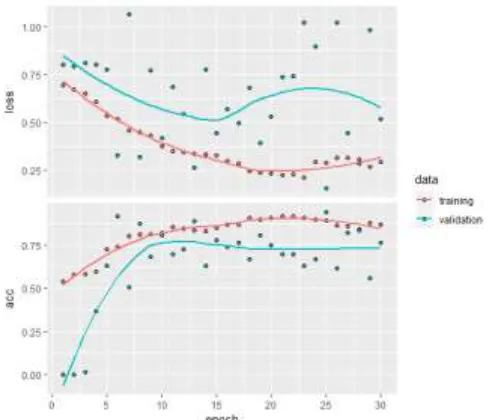 Figure 8 : Screenshot of actual output of Binary  Classification by CNN (Lake, Forest) 
