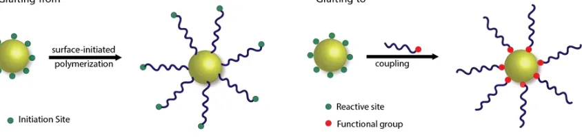 Figure 1.1 Two strategies to modify nanoparticles surface with polymers 