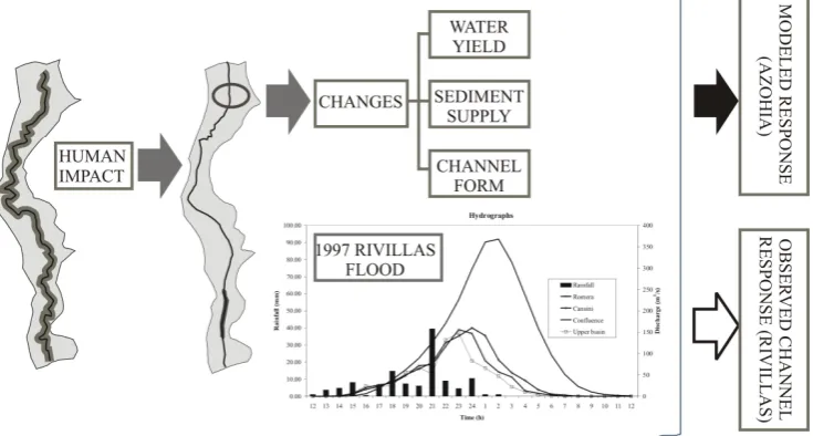 Fig. 1. Conceptual model of the study. Anthropic impacts determine changes in water yield, sediment supply and channel form that can bemodelled hydraulically for an observed and hypothetic response.