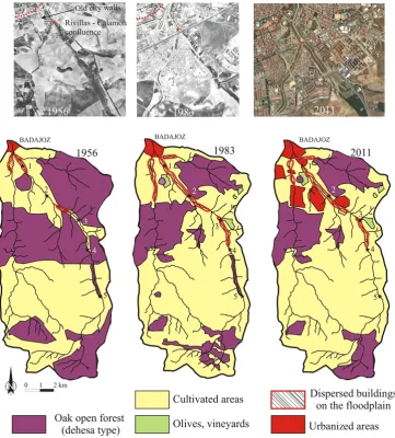 Fig. 3. Land use changes in the Rivillas Basin between 1956 and present-day based on aerial photographs and urban evolution in the Rivillasand Calamon rivers near Badajoz city