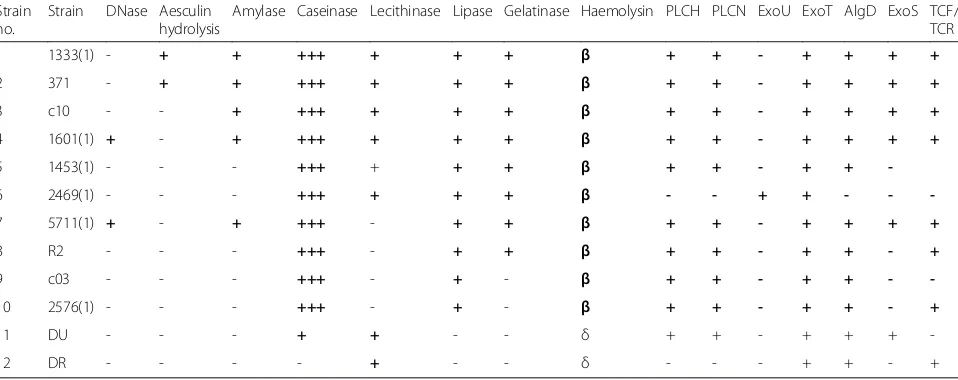 Table 1 Phenotypic and molecular characteristics of Pseudomonas aeruginosastrains