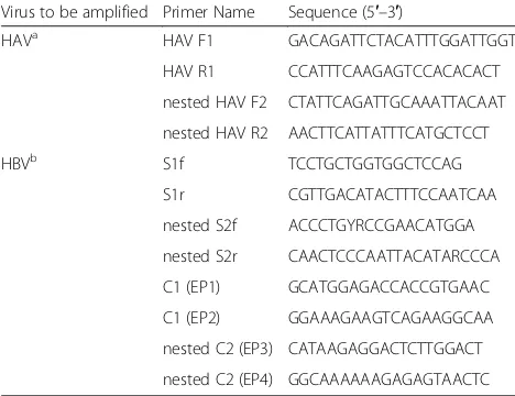 Table 1 Primers used for amplification of HAV and HBV